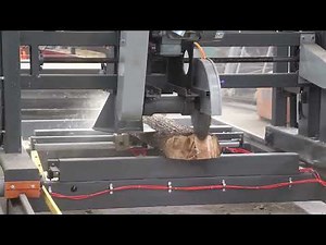 twin circle- blade sawmill