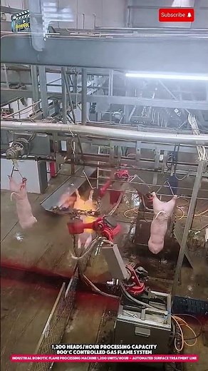 Industrial Robotic Flame Processing Machine 1,200 Units/Hour - Automated Surface Treatment Line