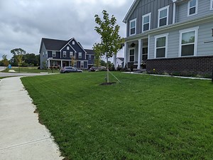 Tenacity and quinclorac after seeding?