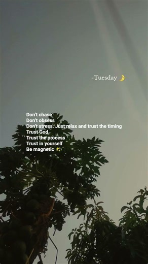 #music #reels#trending #youtubeshorts #ytshorts #peace #nature #bollywood #skyview #explore #like