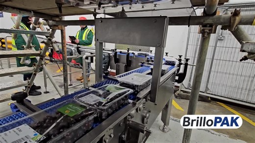 #automation #foodpackaging #brillopak #efficiency #innovation | Brillopak Ltd