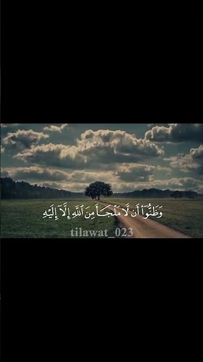 حتى إذا ضاقت عليهم الأرض بما رحبت #سورة_التوبة #منصور_السالمي
