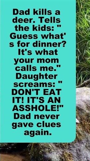 humorWarm, smart and kind humor