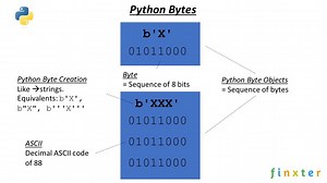 Python Join List of Bytes (and What's a Python Byte Anyway?) - Be on the Right Side of Change