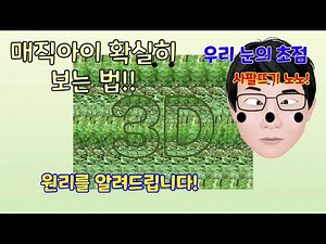 매직아이 보는 방법 끝판왕!