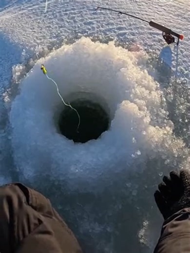 Size matters in the wild. Check out these 10 encounters with massive beasts. #WildAnimalEncounters #Giants #BigAnimals #Nature #Wildlife