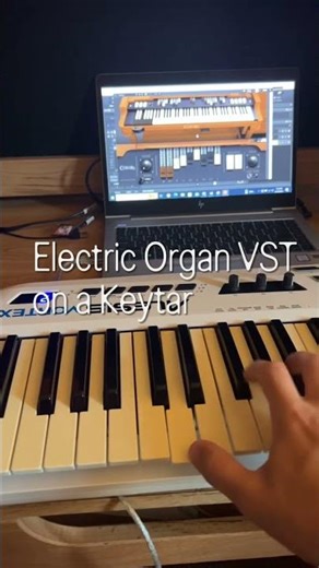 Electric Organ on a Keytar #music #keytar #piano
