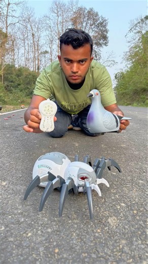 Remote control 1 Ta Pigeon Bird And Wala Spider Unboxing Deko😛