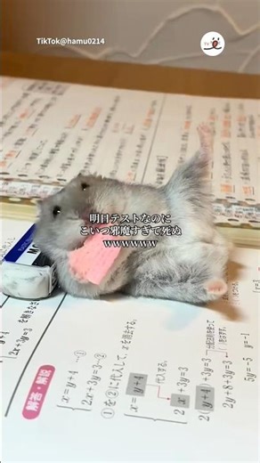 I have a test tomorrow... | PECO