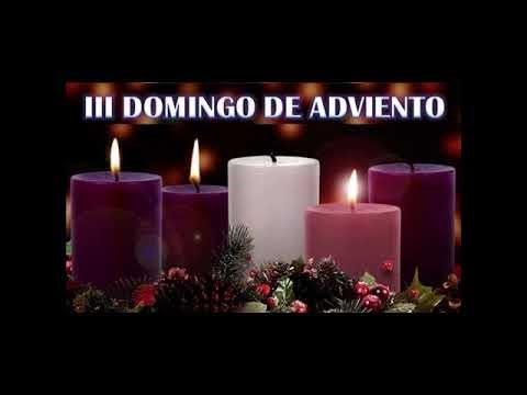 Compartimiento De Las Lecturas. Teo H. 12 - 7 - 25.