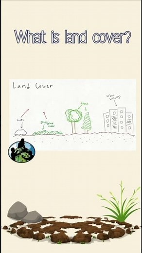 What is land cover?