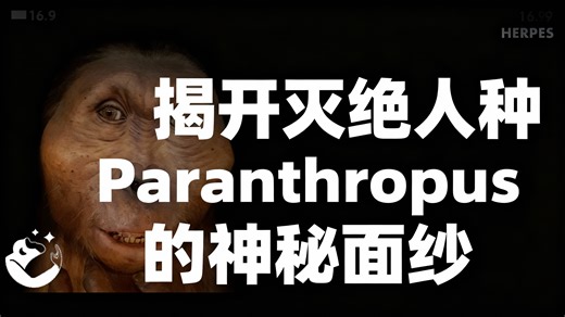 [中配]揭开灭绝人种Paranthropus的神秘面纱 - NORTH 02