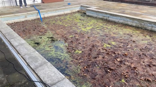 This pool turned into a full swamp