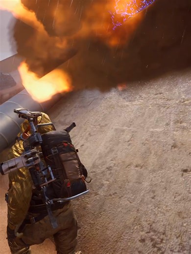 Geeze #arcraiders #arcraidersfunny | geese bird