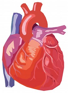 EXAMPLES | adrastichyperlink1