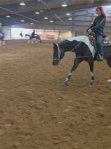 I love a slow lope—but I love it done right even more. Watching Envy start to really understand forward motion while staying soft, slow, and balanced… it’s just a different kind of beautiful. When it all comes together like this, it’s effortless, fluid, and correct. #westernpleasure #horsetraining #showhorse #equinelife #loping