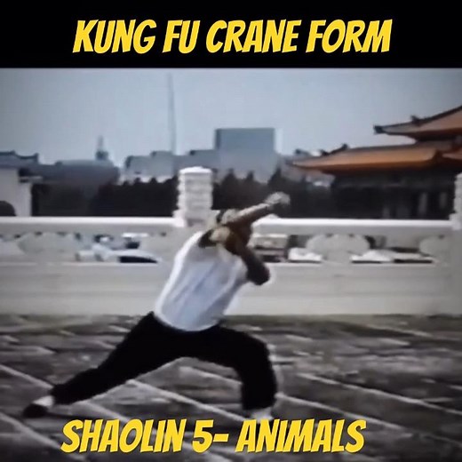 Crane Form Kung Fu Chang Ke Chi style