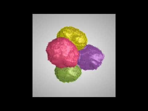 FoamQuant: for quantification of cellular materials