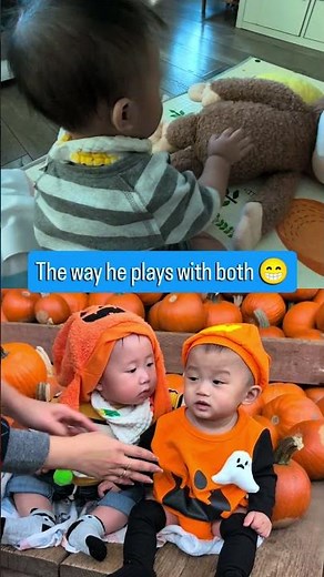 the way he plays with both #infant #baby #pumpkinpatch #curiousgeorge #playtime
