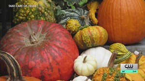 Unique ways to repurpose jack-o-lanterns