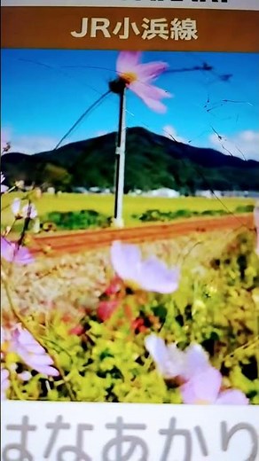 JR Kagoshima Tokaido Monogatari 2 - Train Video for Kids