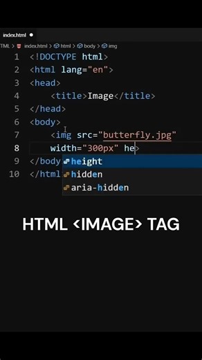 Insert image in HTML full code