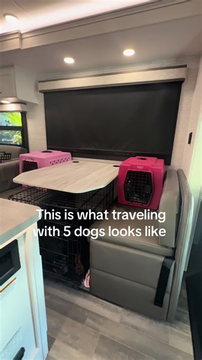 Traveling Safely With Five Dogs in an RV