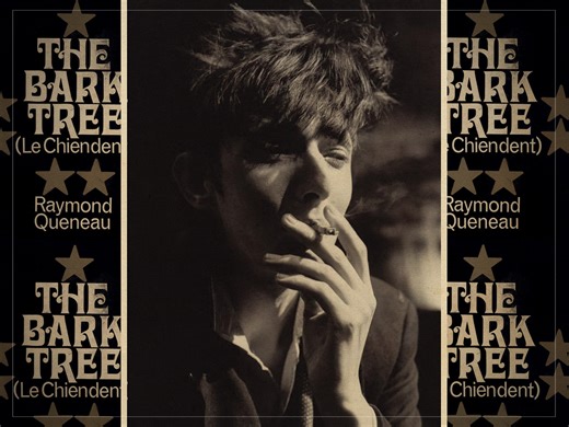 The obscure French novel that inspired Rowland S Howard