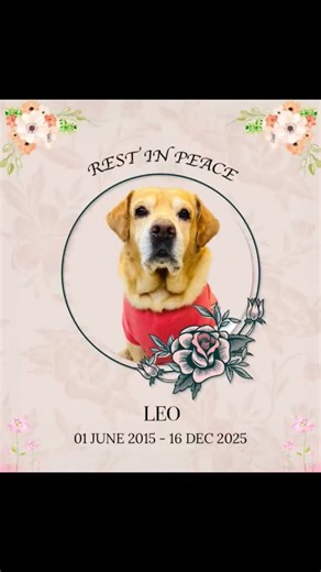 ANANT RASTOGY # RIP LEO OM SHANTI