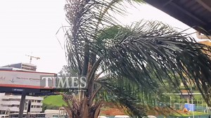 From heatwave to thunderstorms! 🌪️ The winds in Mbabane were something else before the rain hit hard. Now it’s a steady downpour... What’s the weather like where you are? Share videos or pictures via the comment section, DMs or 78080447. Tell us how you're weathering this wild change! 🌧️ | Times of Eswatini