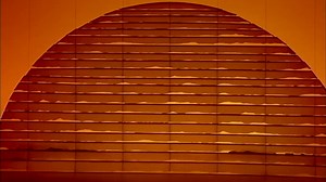 9K views · 34K shares | See it now. Remember it forever. | The Lion King - Musical | Facebook