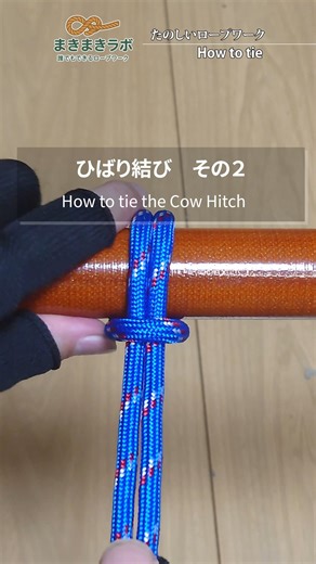 まきまきラボ on Instagram: "これは簡単♪｜ひばり結び その２｜見るだけ脳トレ!ロープワーク How to tie the cow hitch tutorial 2. ひばり結びが簡単にできちゃう方法(笑) ロープの長さにもよるけどこれは超簡単! この結び方は、簡易担架を作る際にも応用できるので覚えておいて損はないです! An easy way to make a cow hitch (lol) Depending on the length of your rope, this is super easy! This knot can also be used to make a makeshift stretcher, so it's definitely worth learning! #shortreels📸🤗🙏like♥️and😍follow #fypシ❤️💞❤ #キャンプ #キャンプ初心者 #キャンプ女子 #ライフハック #生活 #雑学 #脳トレ"