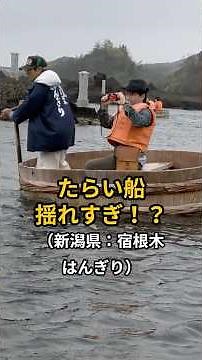 [Sado Tourism] The tub boat rocks way too much!? A relaxing trip to Sado | Shukunegi Hangiri