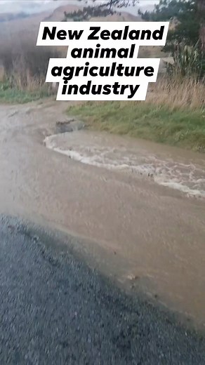 A disasters day today for the Mataura River, The spring rains arrived and the phosphate, urine, feces and other pathagens laden topsoil flowed off the Mud-Farms and into the Mataura River. This topsoil will smother the riverbed and estuary before following out into the sea where it will be lost for ever. This topsoil will kill the macroinvertebrates who are the base of the freshwater ecosystem. Environment Southland fails to have proactive, meaningful enforcement of regulations, it is against th