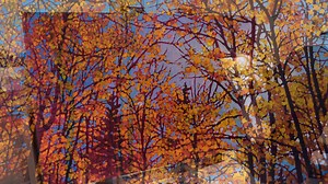 This video has four time lapses plus commentary of paintings that will be at my show which opens this Saturday, February 25th at Koyman Gallery in Ottawa. www.koymangalleries.com | Tim Packer