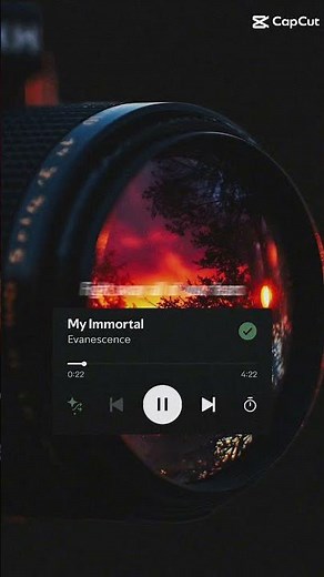 My immortal - EVANESCENCE (lyrics) 🎶❤️‍🩹🌹 #evanescence #lyrics #song #musicapop #music #travel