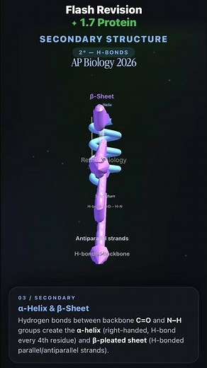 AP Biology 2026 Exam Quick Revision Unit 1.7 Proteins #apbiology #apbio #apbio2026 #study
