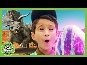 Max and Bella Find a Dinosaur Egg! + 30 Minutes of T-Rex Ranch Adventures
