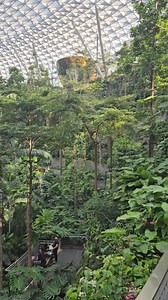 Rinaldi Munir on Reels