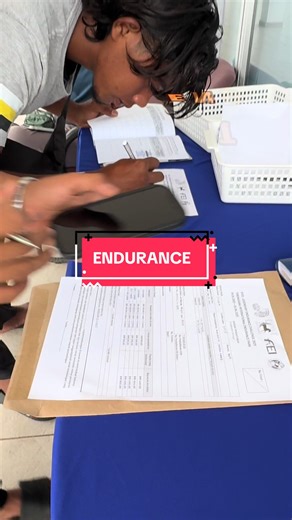 PAPANROSESHORSEPARK on TikTok