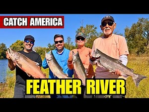 Feather River Salmon Adventure with Captain Brady