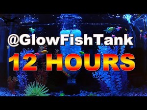 Glow Fish Tank (12 Hours) - ASMR, Meditation, Relaxation, Sleep, Reduce Stress (bubble sounds)