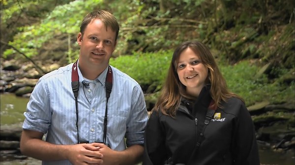 Our Video of the Week is the first in a series to help you refine your bird ID skills. Join birding experts Chris Wood and Jessie Barry in the field and learn how to use size and shape as an ID tool. They'll show you how to compare different birds and distinguish similar species such as Hairy and Downy woodpeckers. | Cornell Lab of Ornithology
