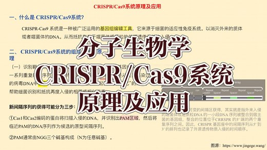 分子生物学｜CRISPR/Cas9系统原理及应用