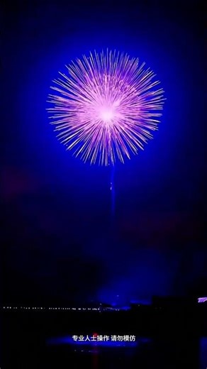 display shell firework