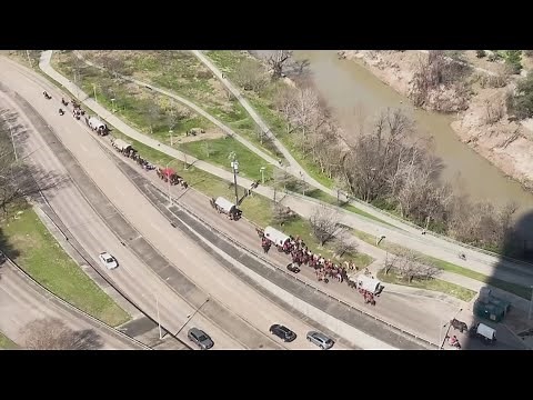 Trail riders prepare for rodeo parade in Houston