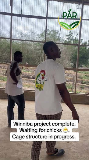 Poultry Farming in Ghana: 6000 Capacity Cage System