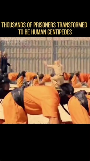 Movies: Top Trending Scenes, Reviews & Must-Watch in 2025 #movies #film #cinema #hollywood #movietok #moviereview #movienight #trending #fyp #viral