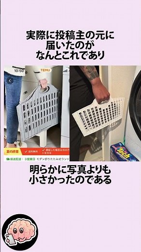 Temu's fraudulent large basket trivia