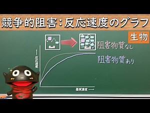 競争的阻害がある時の基質濃度と反応速度の関係のグラフ【39生物】
